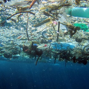 スペイン、地中海で魚とともに水揚げされるプラスチックをリサイクル、モードに変身